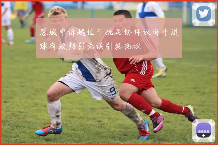 蓉城申诉越位干扰足协评议海牛进球有效判罚无误引发热议